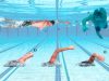 Técnica de crol en triatlón: entrenamiento, fundamentos y todos sus secretos Técnica de Crol en triatlón, inicio, secreto, trucos