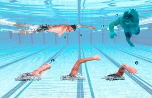 Técnica de crol en triatlón: entrenamiento, fundamentos y todos sus secretos Técnica de Crol en triatlón, inicio, secreto, trucos