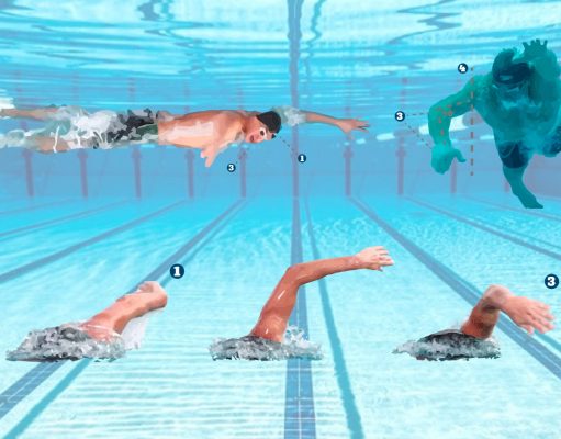 Técnica de crol en triatlón: entrenamiento, fundamentos y todos sus secretos Técnica de Crol en triatlón, inicio, secreto, trucos