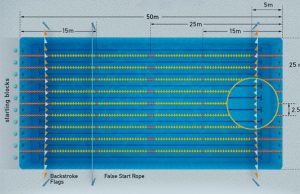 Evaluación de la técnica de brazada de crol: frecuencia, longitud y SWOF técnica de brazada de crol longitud de brazada frecuencia de brazada y swolf